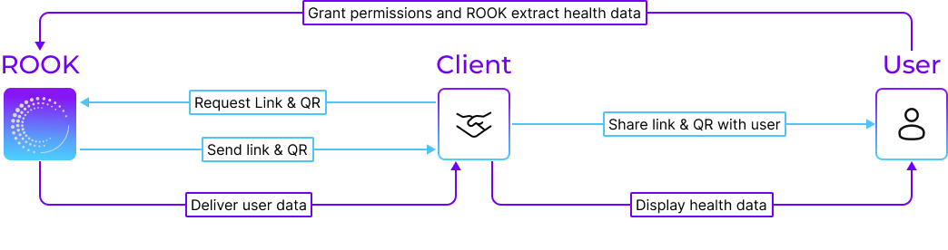 diagram-ROOKExtractionApp.png