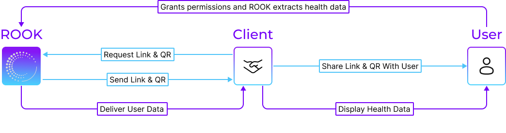 diagram_ROOK_Extraction_App.png