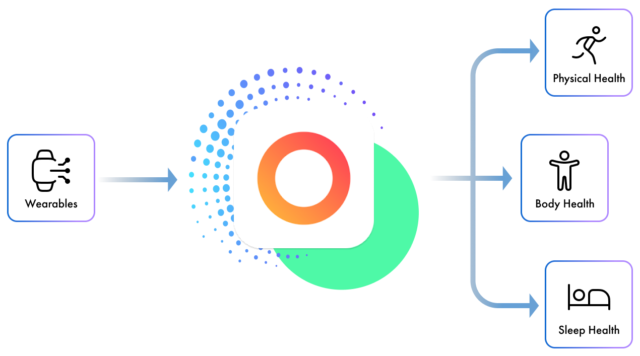 Xiaomi data flow — sources to health pillars